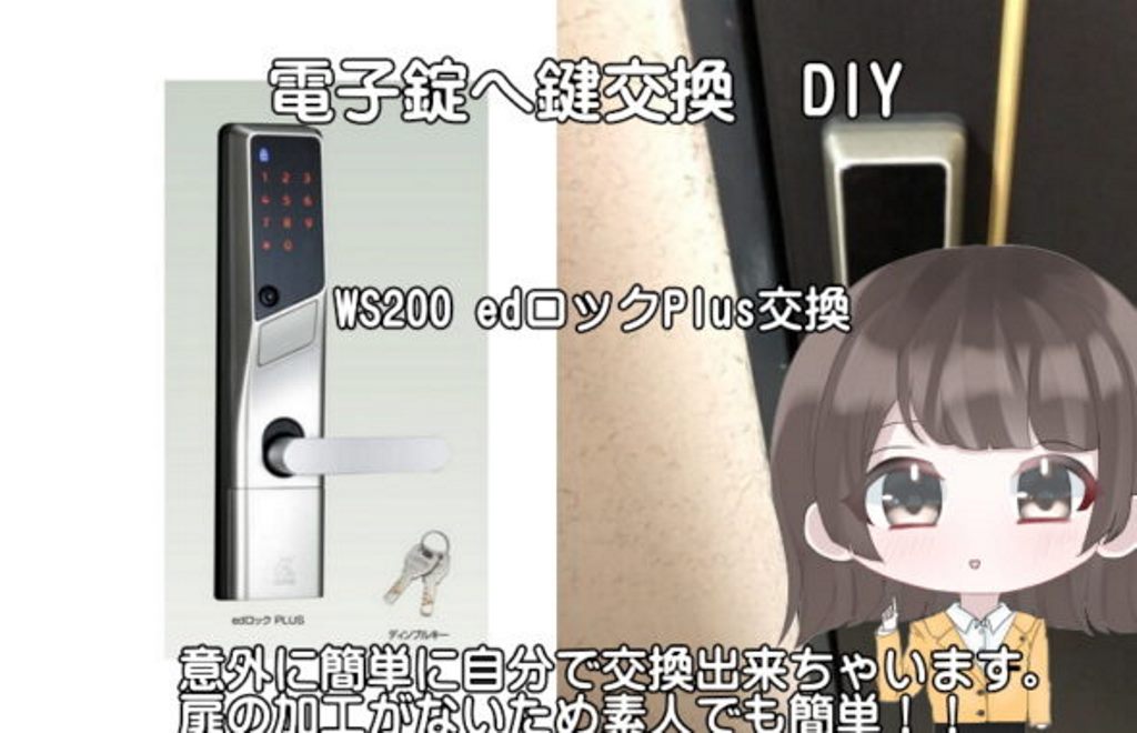 ALPHA アルファWS200 edロックPlus DIY取付